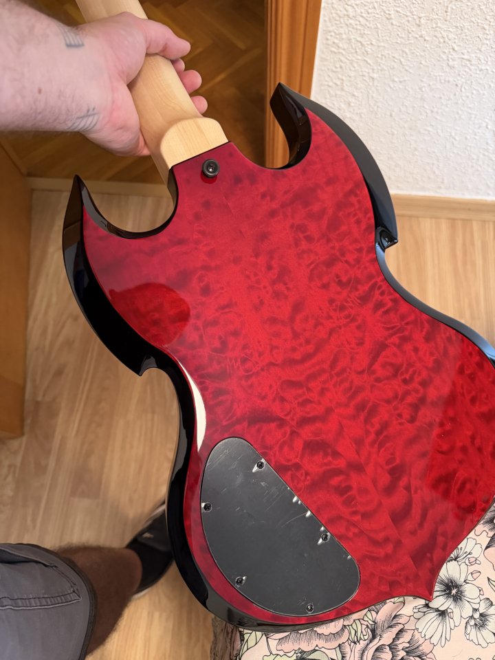Wylde Audio Barbarian Blood Raven de segunda mano · Foto 2 de 9 · Barcelona · 1300 €
