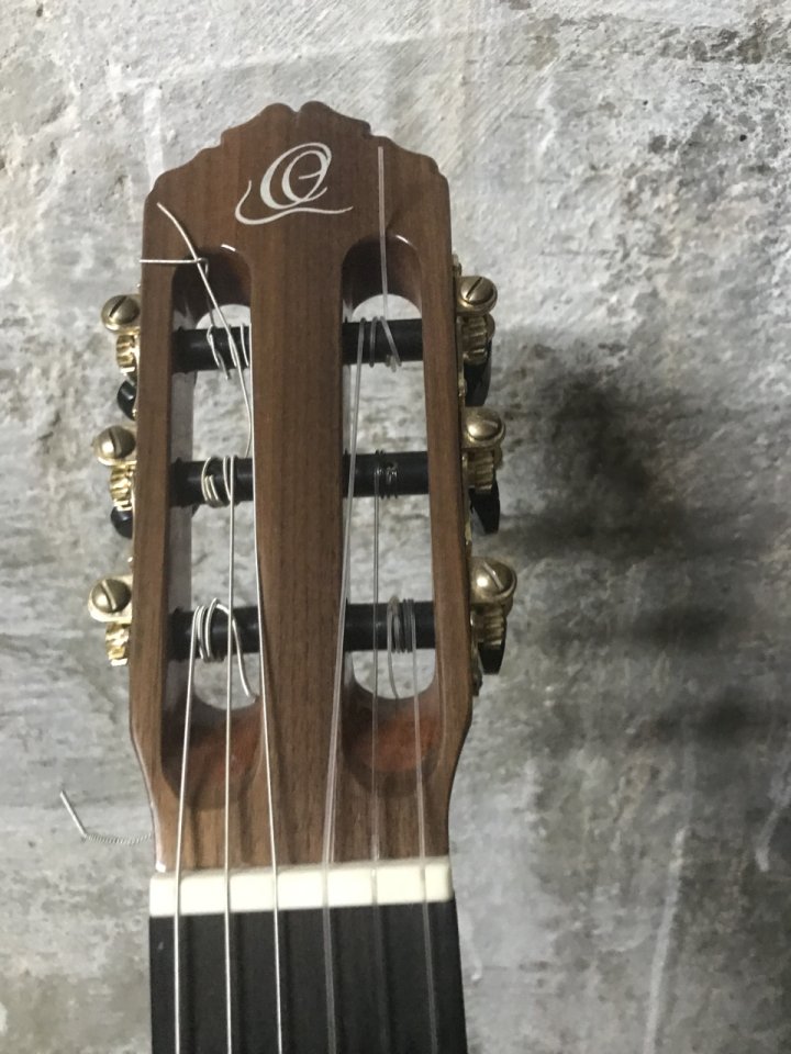 Cambio  guitarra española Ortega Ben Woods Signature BWSM/2