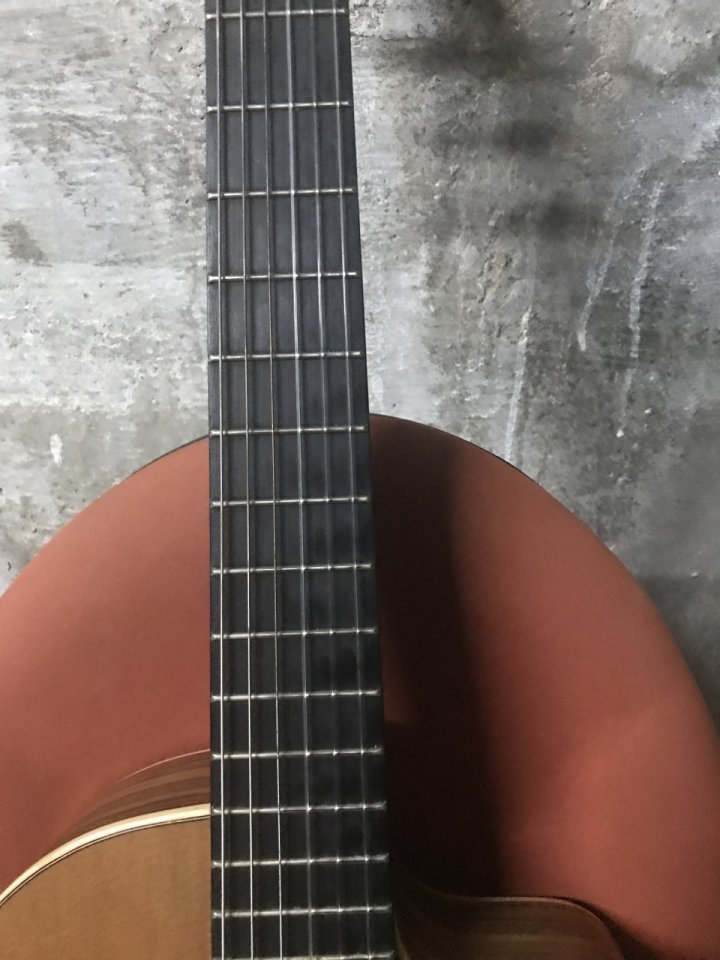 Cambio  guitarra española Ortega Ben Woods Signature BWSM/2