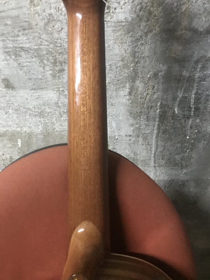 Cambio  guitarra española Ortega Ben Woods Signature BWSM/2