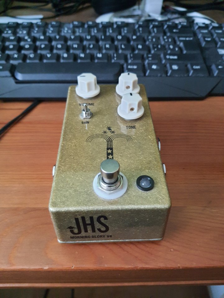 JHS morning glory v4