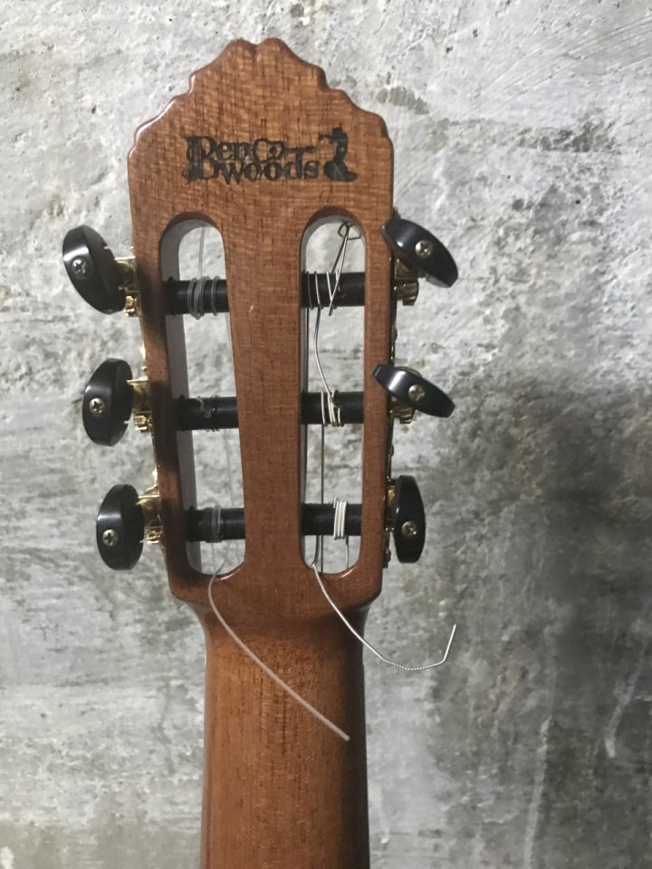 Cambio  guitarra española Ortega Ben Woods Signature BWSM/2