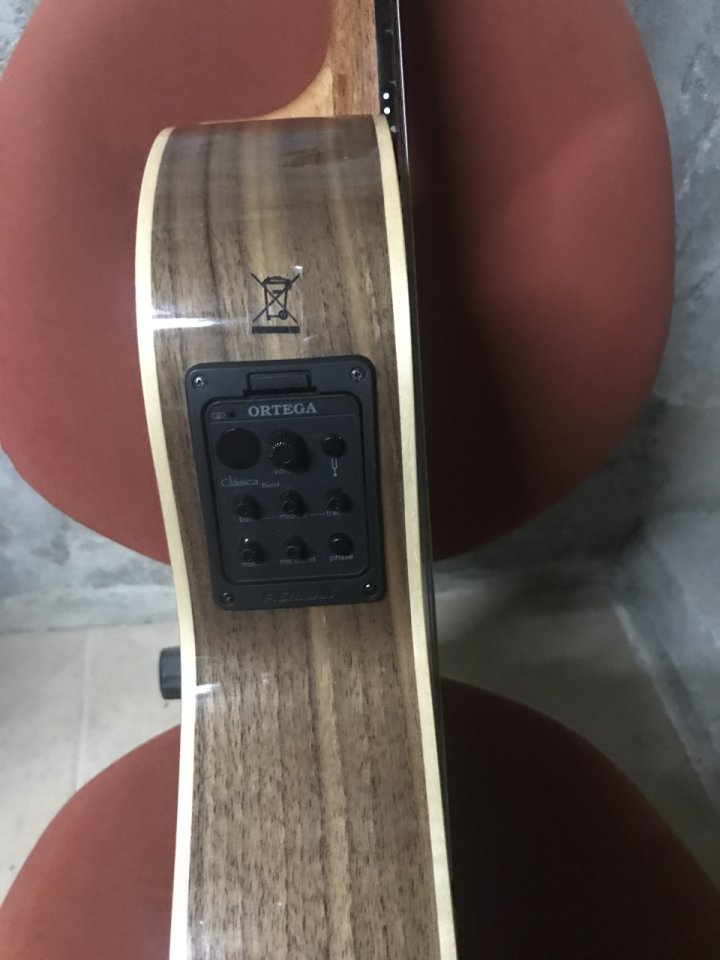 Cambio  guitarra española Ortega Ben Woods Signature BWSM/2