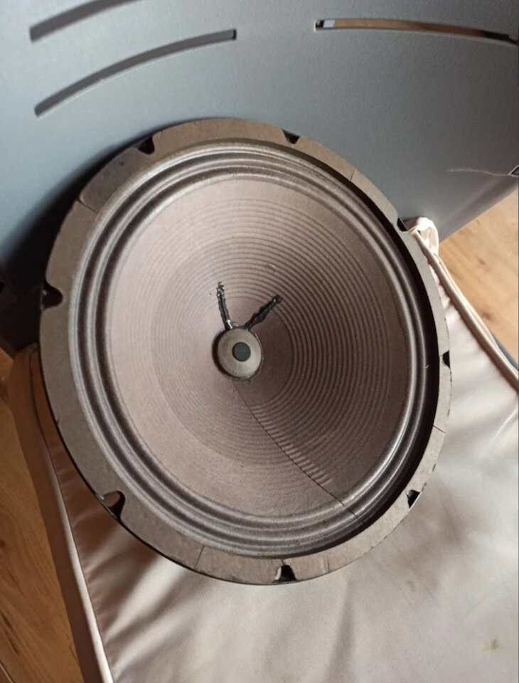 Altavoces Guitarra JBL G125-8, con Regalo!