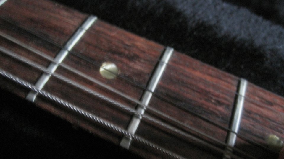 Epiphone Wilshire vintage 1965