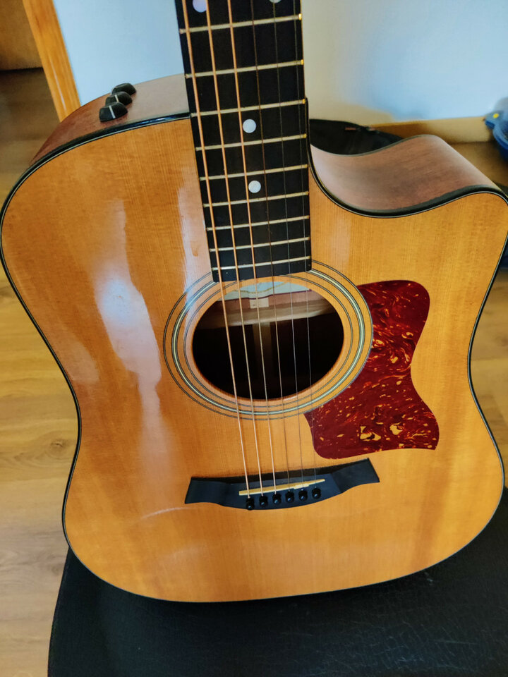 Taylor 310CE electroacústica