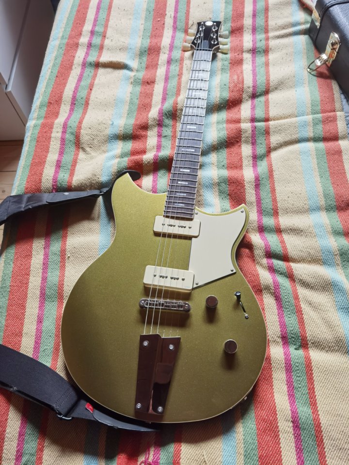 Yamaha Revstar RSP02T de segunda mano · Ávila · 1400 €