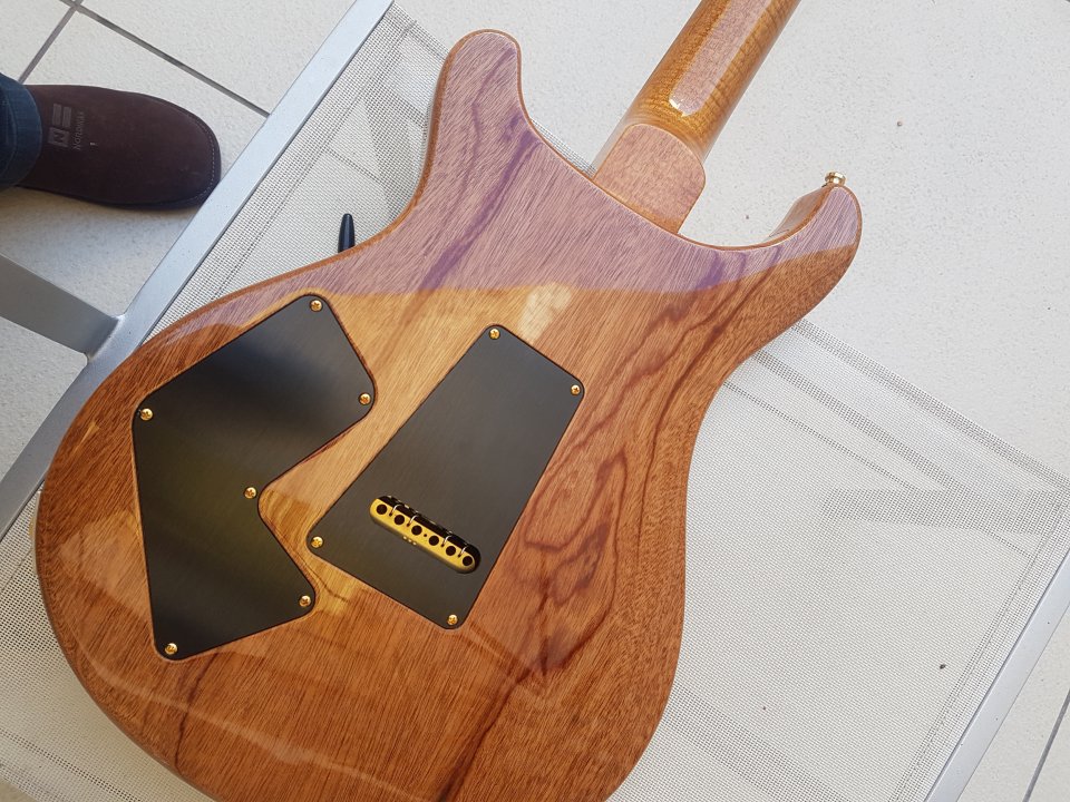 PRS prívate stok modern eagle V 20 aniversario de segunda mano · Foto 3 de 6 · Albacete · 5900 €