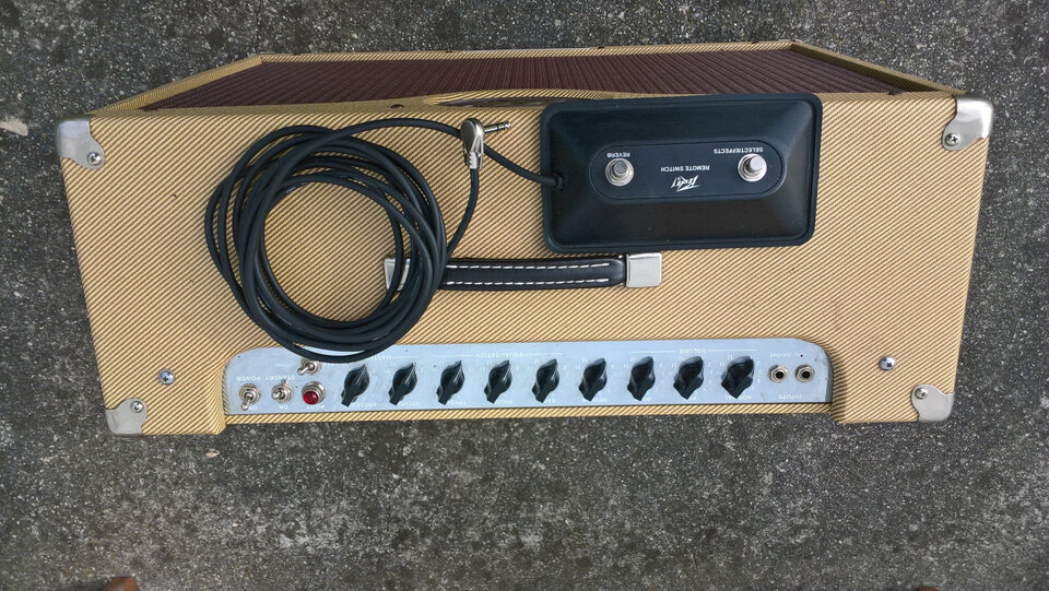 Peavey Classic 50 212