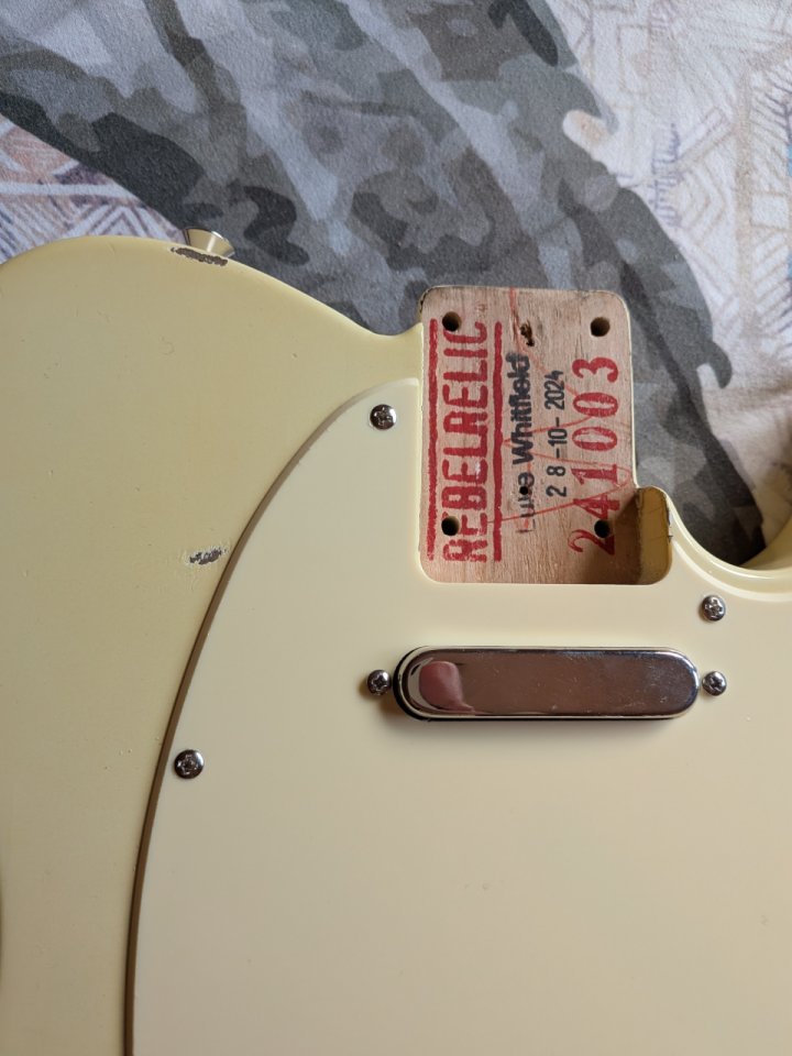 Kit cuerpo telecaster RebelRelic + pastilla boutique hepcat + electrónica de segunda mano · Foto 2 de 5 · Madrid · 450 €