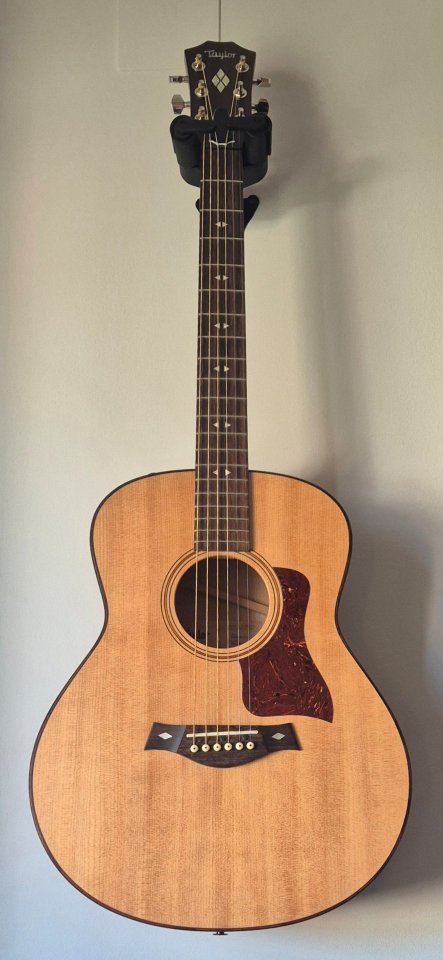 Taylor Urban Ash GTe