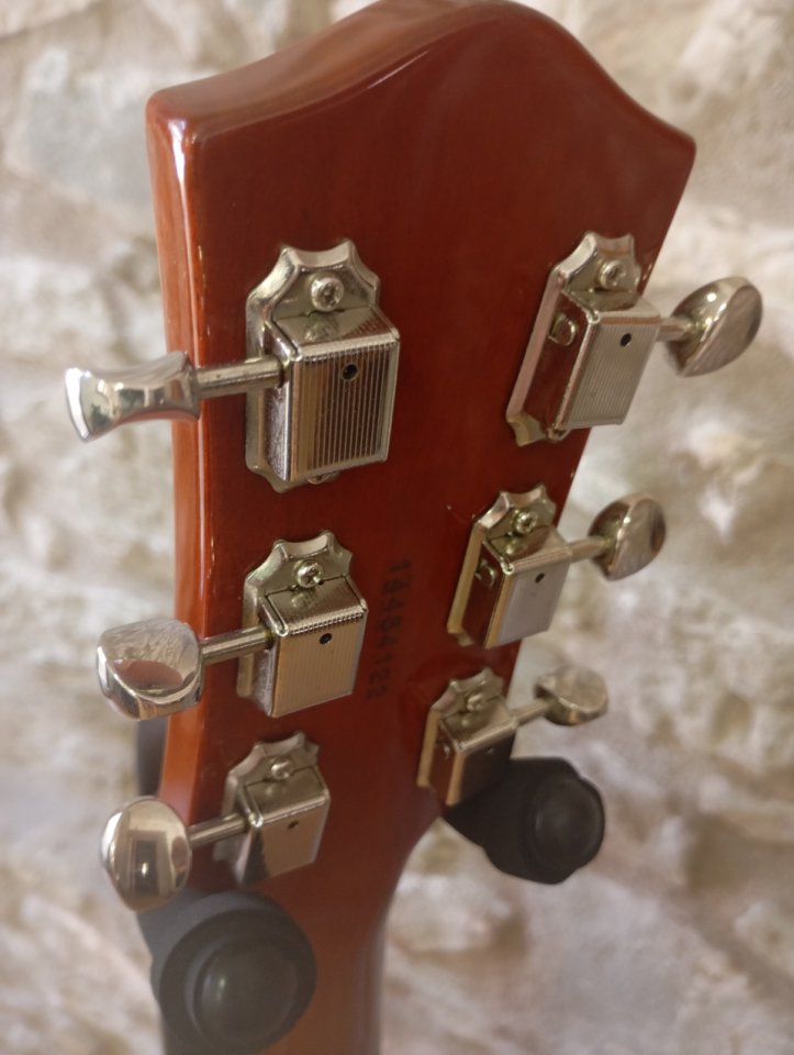 Godin Montreal Premiere Bigsby de segunda mano · Foto 3 de 10 · Girona