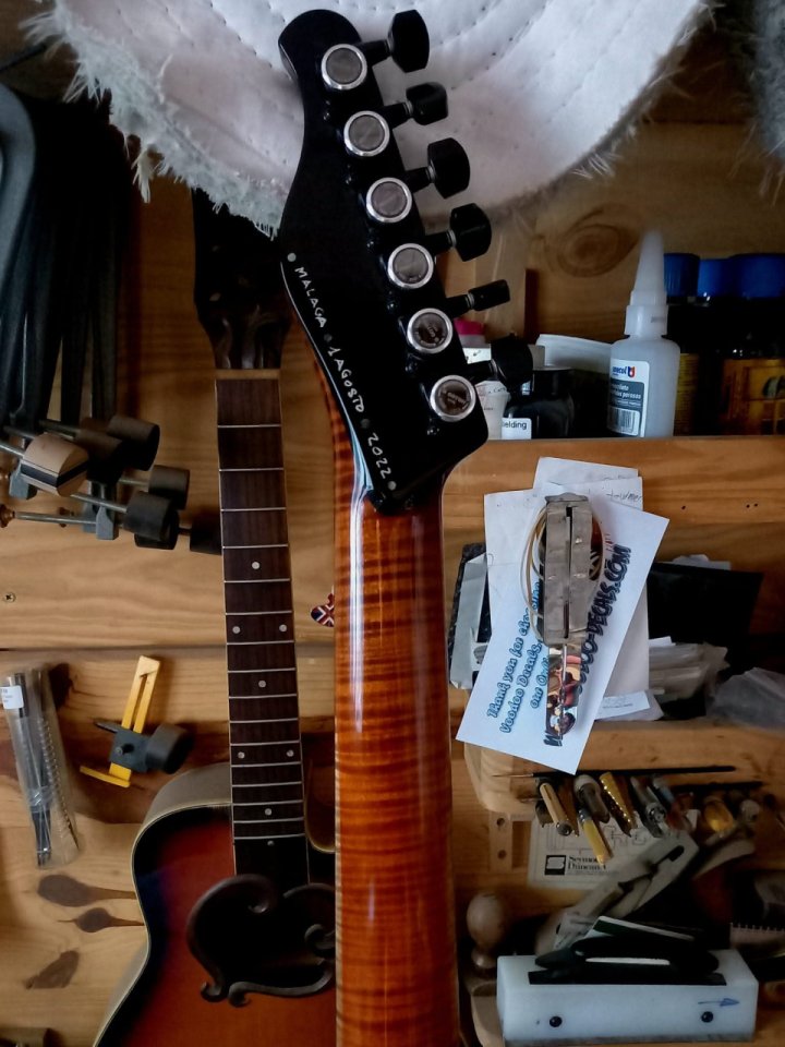 JazzyCaster Old Blues