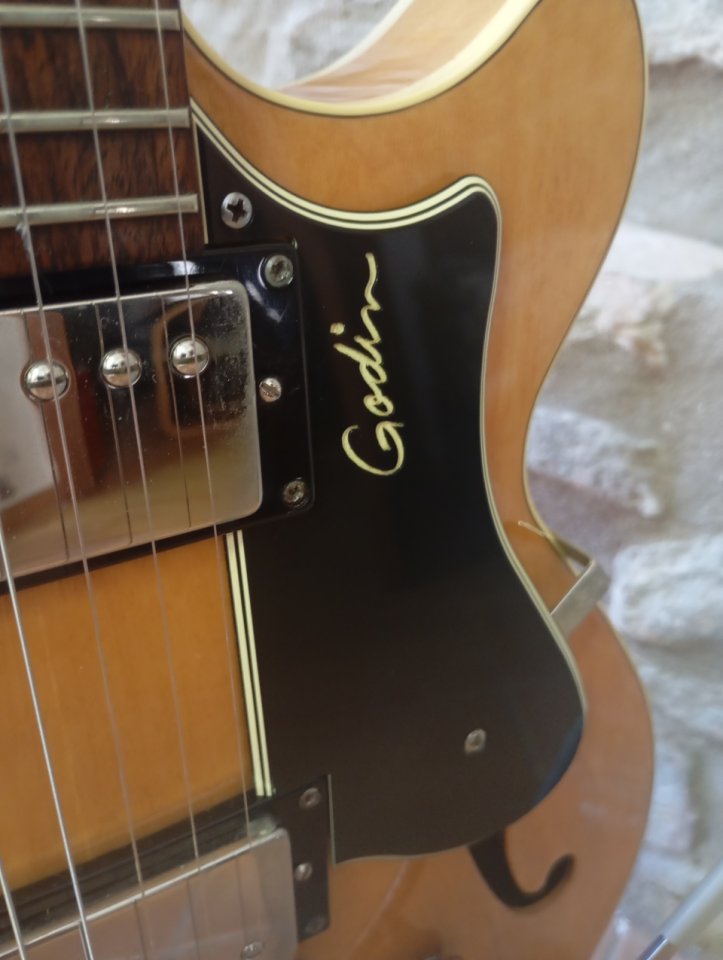 Godin Montreal Premiere Bigsby de segunda mano · Foto 5 de 10 · Girona