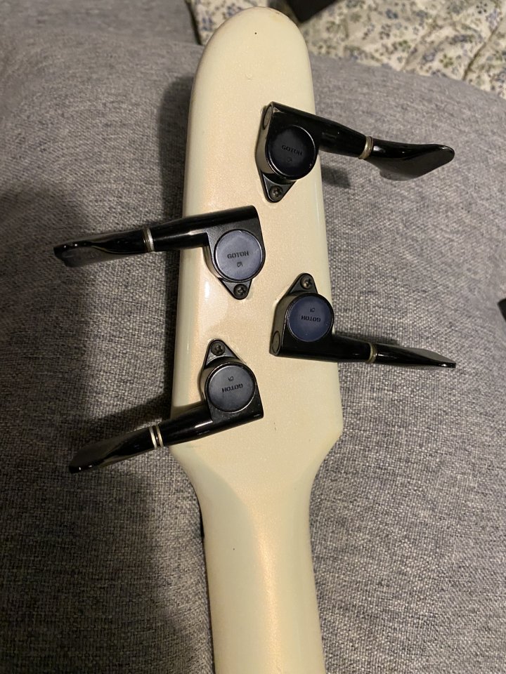 Proyecto Collection Bass SGC by Marina