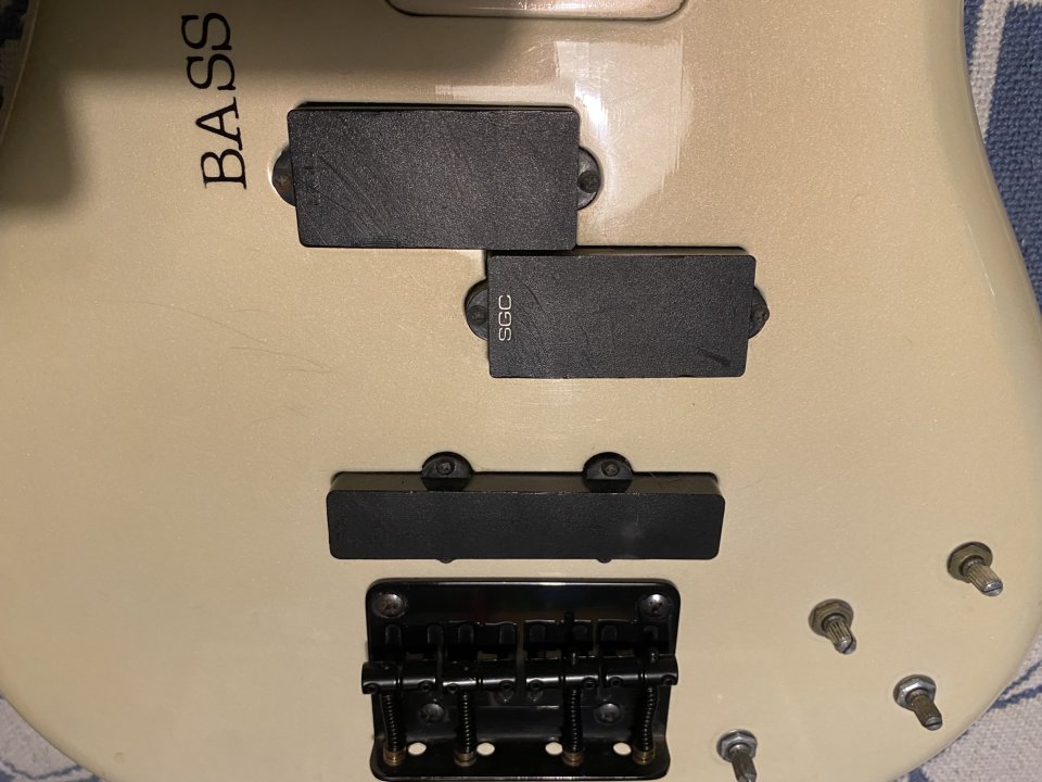 Proyecto Collection Bass SGC by Marina