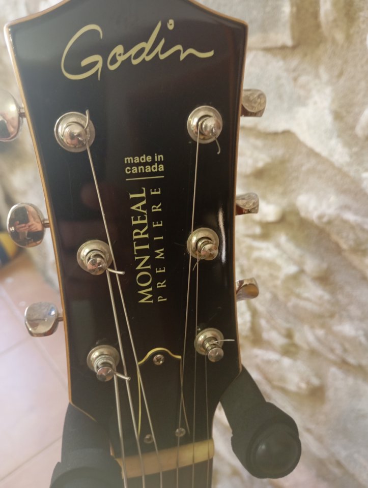 Godin Montreal Premiere Bigsby de segunda mano · Foto 10 de 10 · Girona