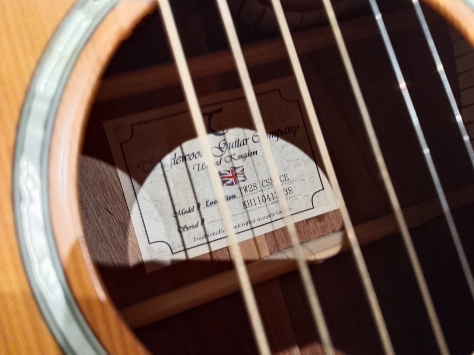 tanglewood tw28 csn ce