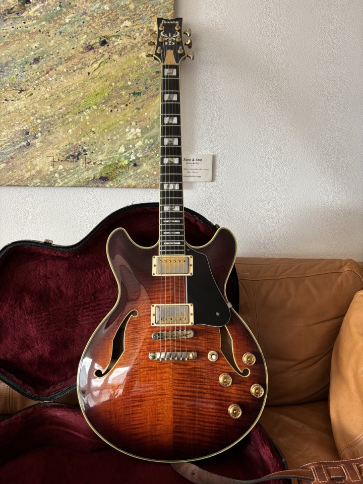 Ibanez John Scofield Signature MIJ 2001