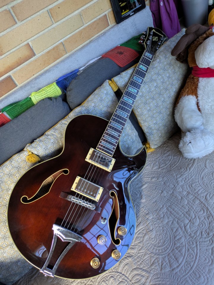 Ibanez Artcore AK85-DVS-12-01 - envío incluido