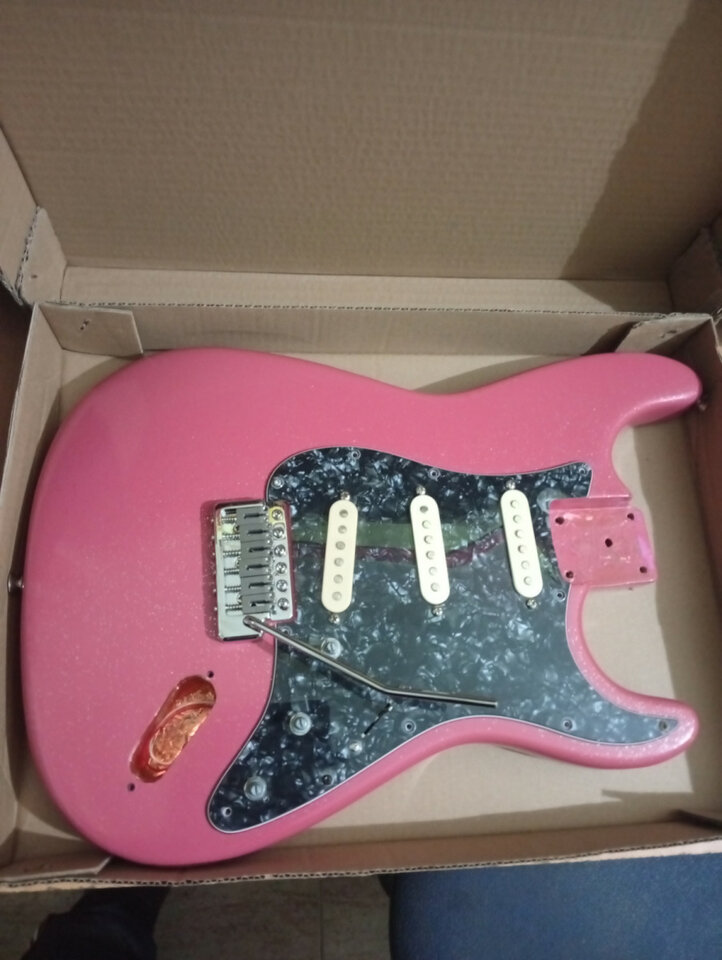Cuerpo stratocaster completo