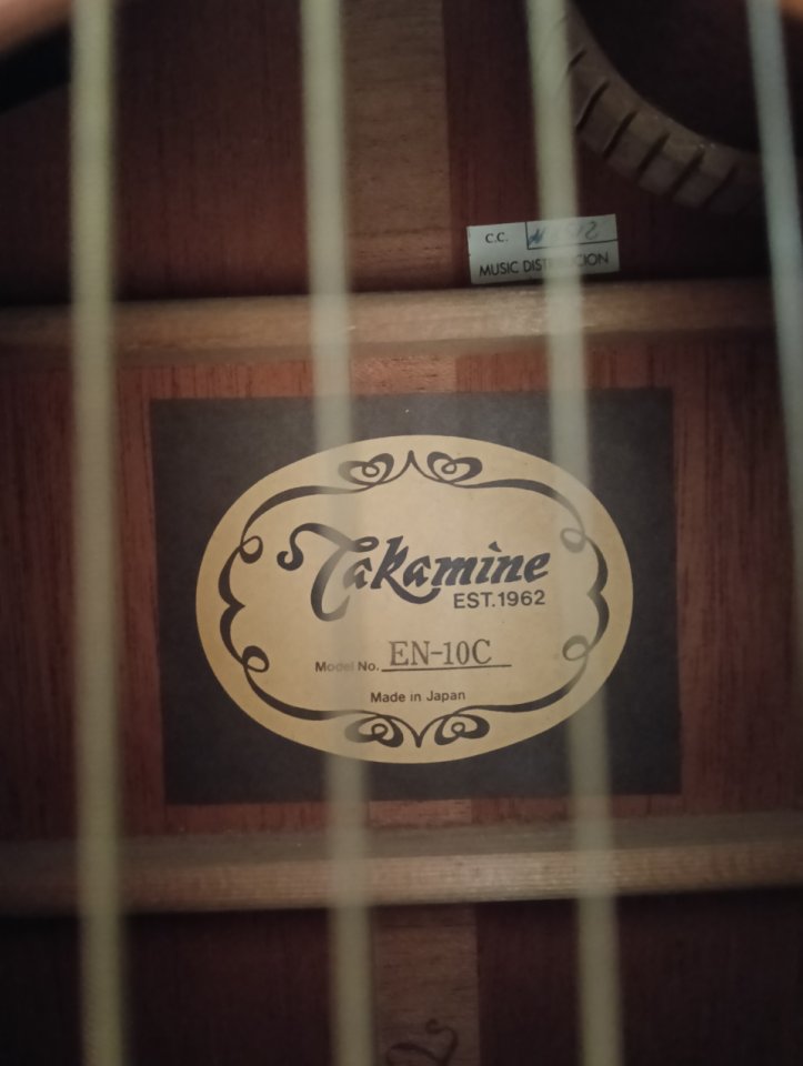 Guitarra Takamine En 10c