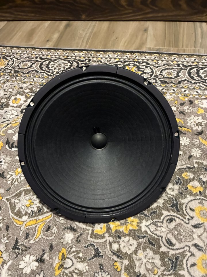 Jensen Alnico P12r 8 ohms de segunda mano · Foto 2 de 2 · Granada · 60 €