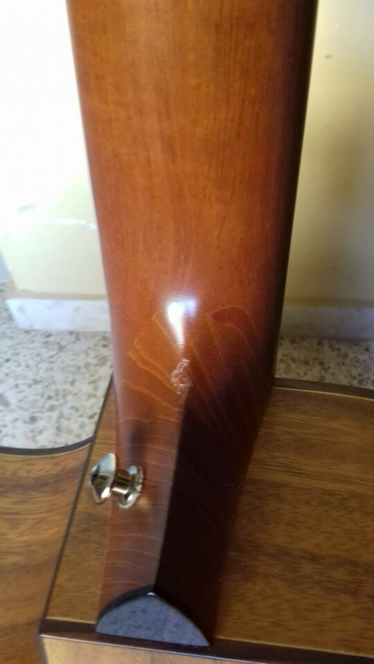 Guitarra electro acústica 12 cuerdas Faith Trembesi FV12TB-ENVÍO INCLUIDO