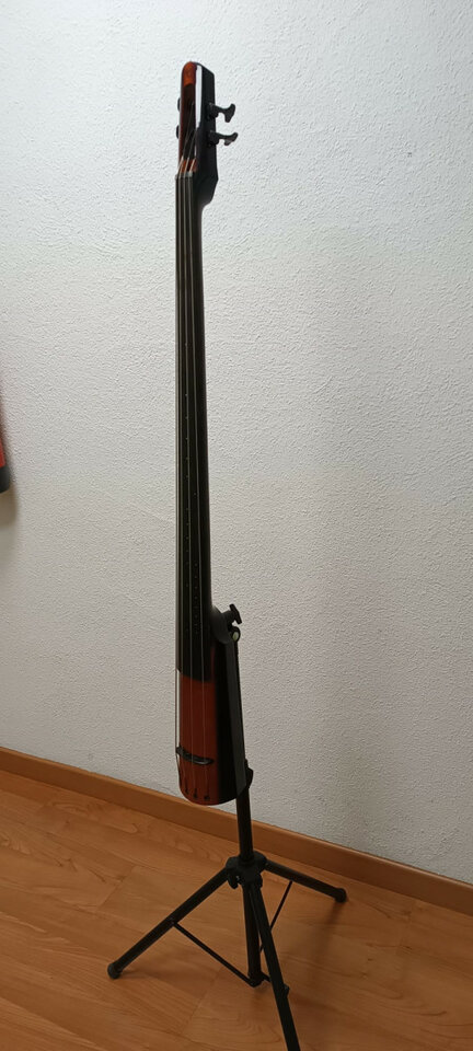 Contrabajo NS Design WAV4c