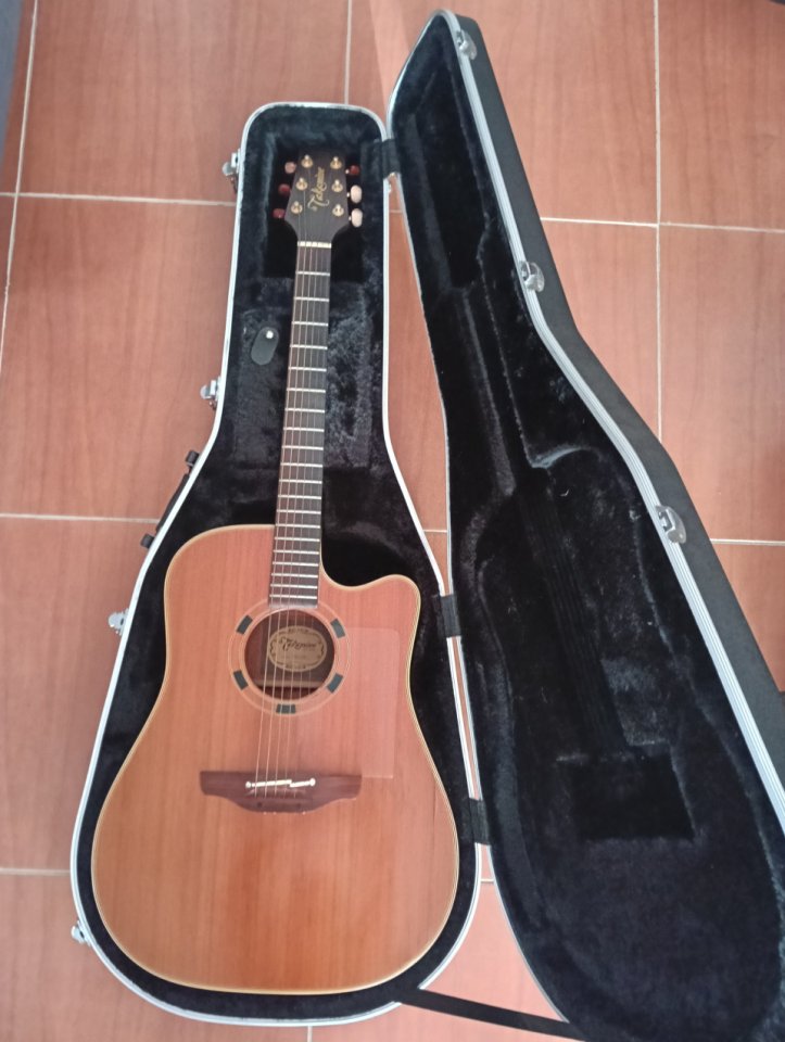 Guitarra Takamine En 10c
