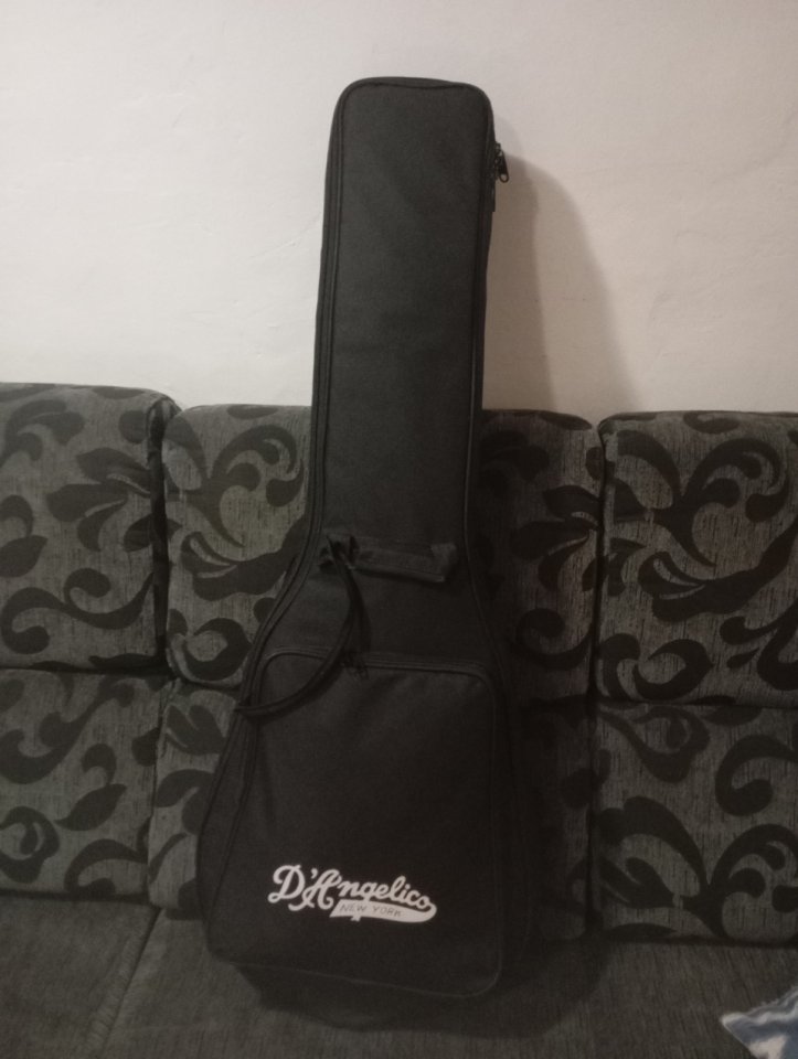 D'Angelico Excel SS Tour