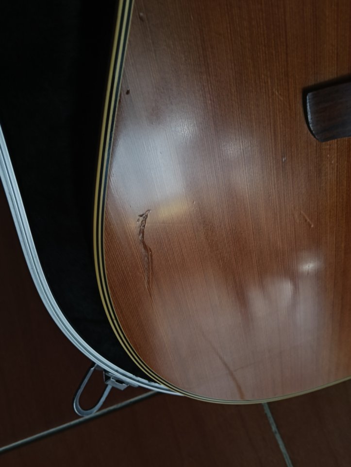 Guitarra Takamine En 10c