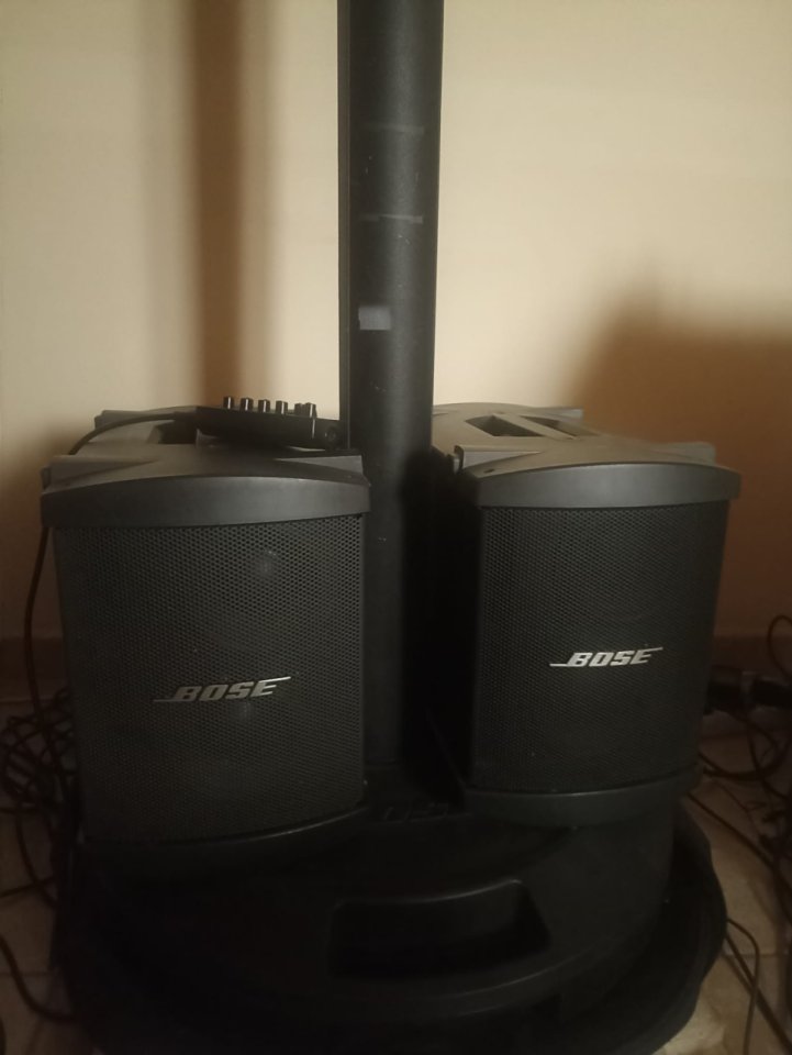 Bose L1 Classic Model 1 + 2 B1 (módulos de bajo) de segunda mano · Foto 1 de 10 · Alicante · 2100 €