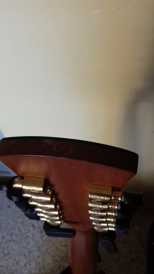 Guitarra electro acústica 12 cuerdas Faith Trembesi FV12TB-ENVÍO INCLUIDO