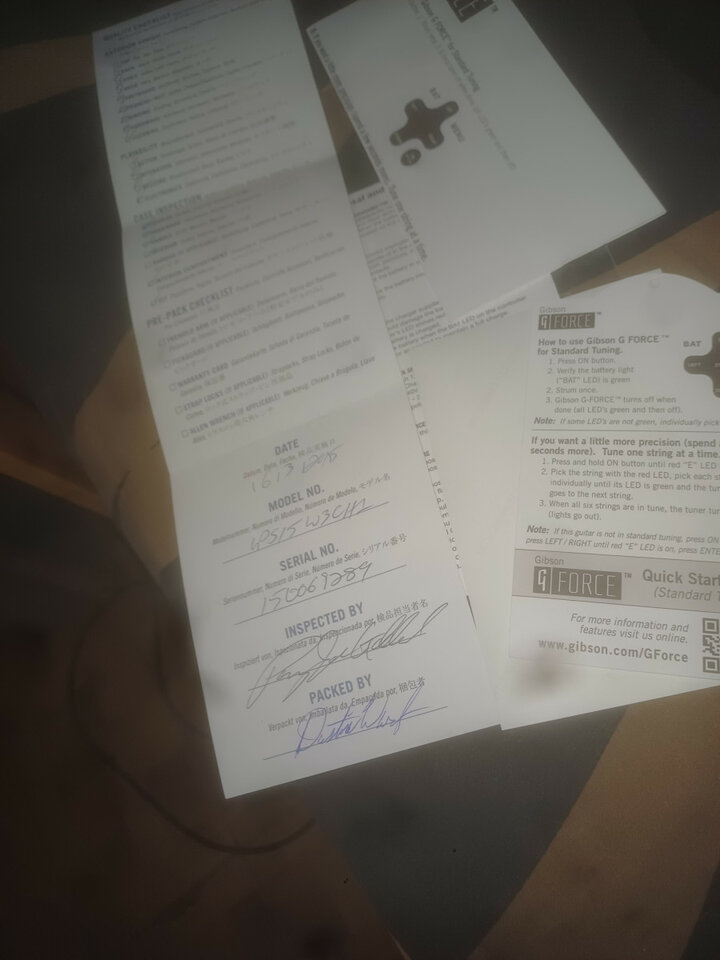 Gibson les paul standard