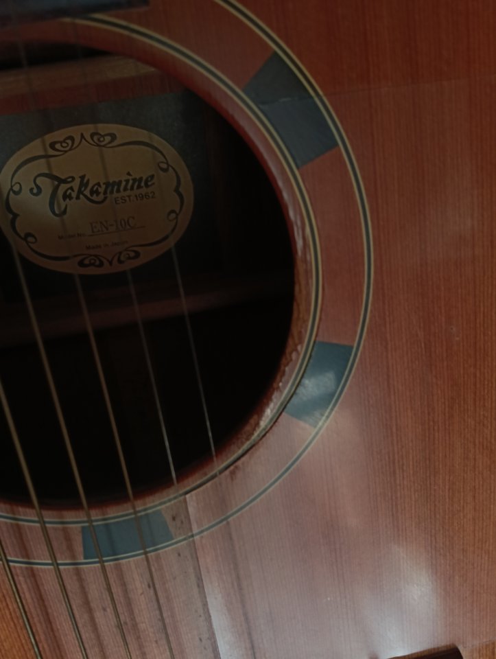Guitarra Takamine En 10c