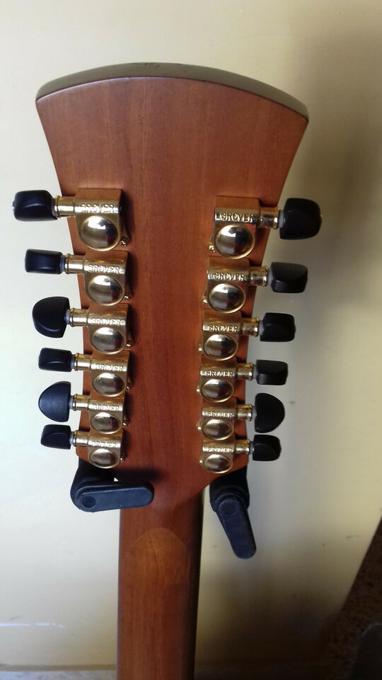 Guitarra electro acústica 12 cuerdas Faith Trembesi FV12TB-ENVÍO INCLUIDO