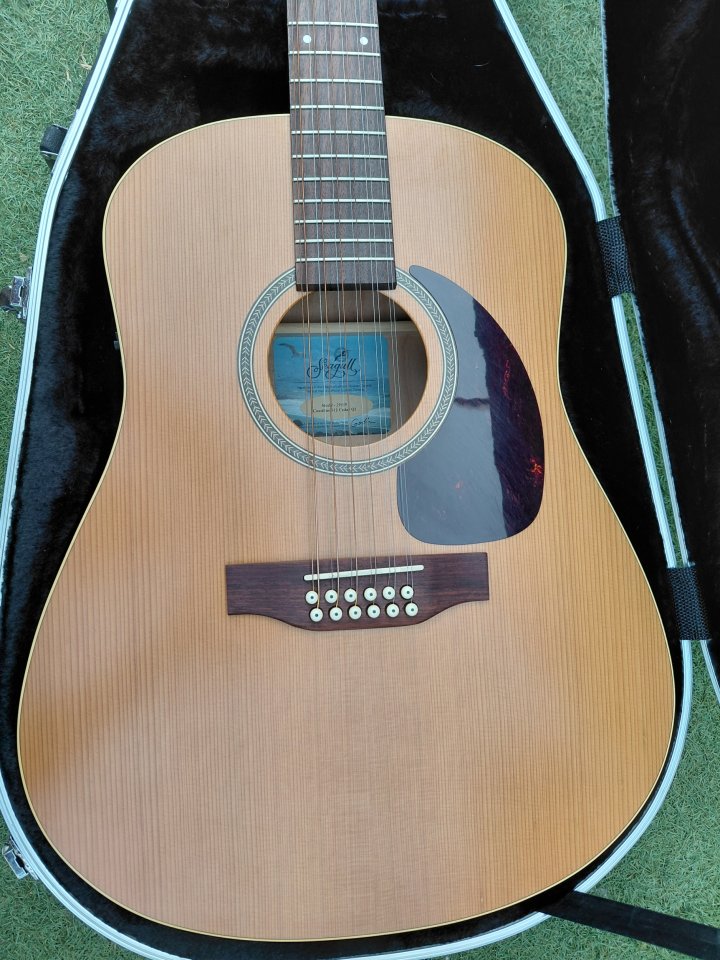 Acustica Seagull coastline s12 cedar de segunda mano · Foto 2 de 10 · Córdoba · 500 €