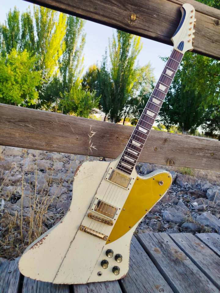 Vegarelics Firebird "Tony Waka" de segunda mano · Foto 1 de 9 · Albacete · 3150 €