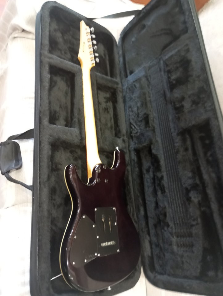 Ibanez sa series 220 modificada de segunda mano · Foto 5 de 10 · Bizkaia · 299 €