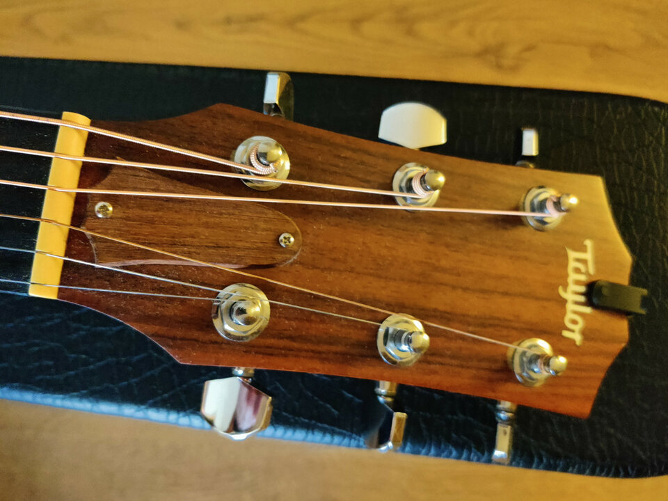 Taylor 310CE electroacústica