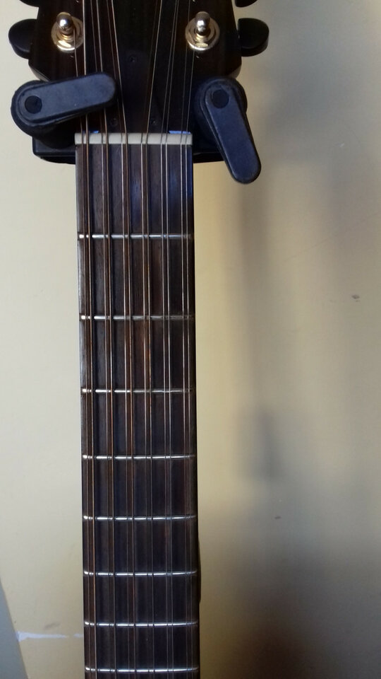 Guitarra electro acústica 12 cuerdas Faith Trembesi FV12TB-ENVÍO INCLUIDO