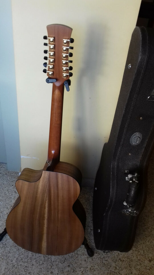 Guitarra electro acústica 12 cuerdas Faith Trembesi FV12TB-ENVÍO INCLUIDO