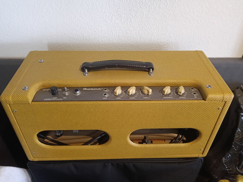 Victoria Reverberato