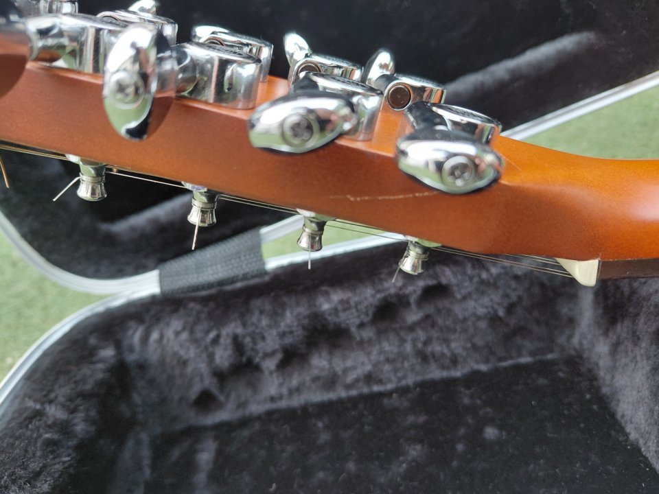 Acustica Seagull coastline s12 cedar de segunda mano · Foto 7 de 10 · Córdoba · 500 €