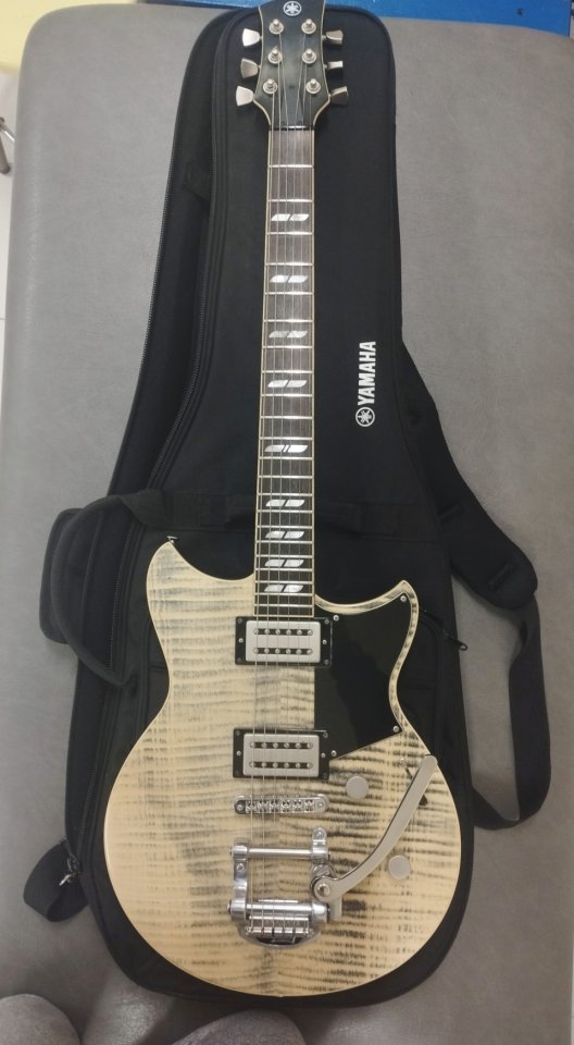 Yamaha Revstar RS720B Bigsby AGR Ash Grey