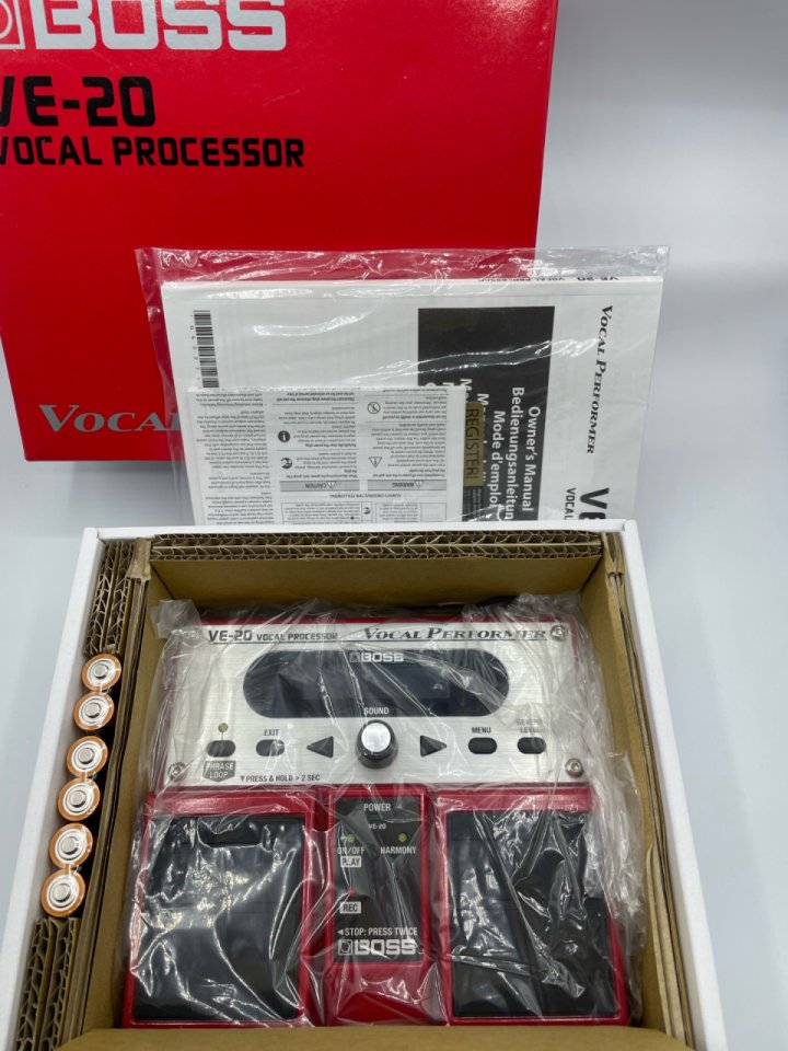 Boss Re-20 Procesador de voz