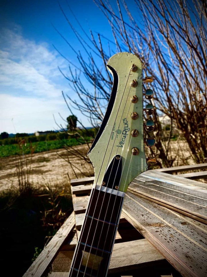 Vegarelics Firebird "Tony Waka" de segunda mano · Foto 7 de 9 · Albacete · 3150 €