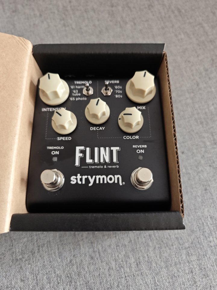Strymon Flint v2 de segunda mano · Foto 5 de 7 · Girona · 300 €