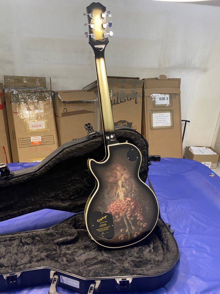 Guitarra epiphone adam jones ed limitada